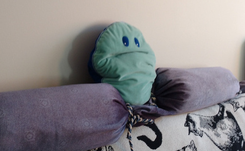 Photo of grumpy-looking pillow.