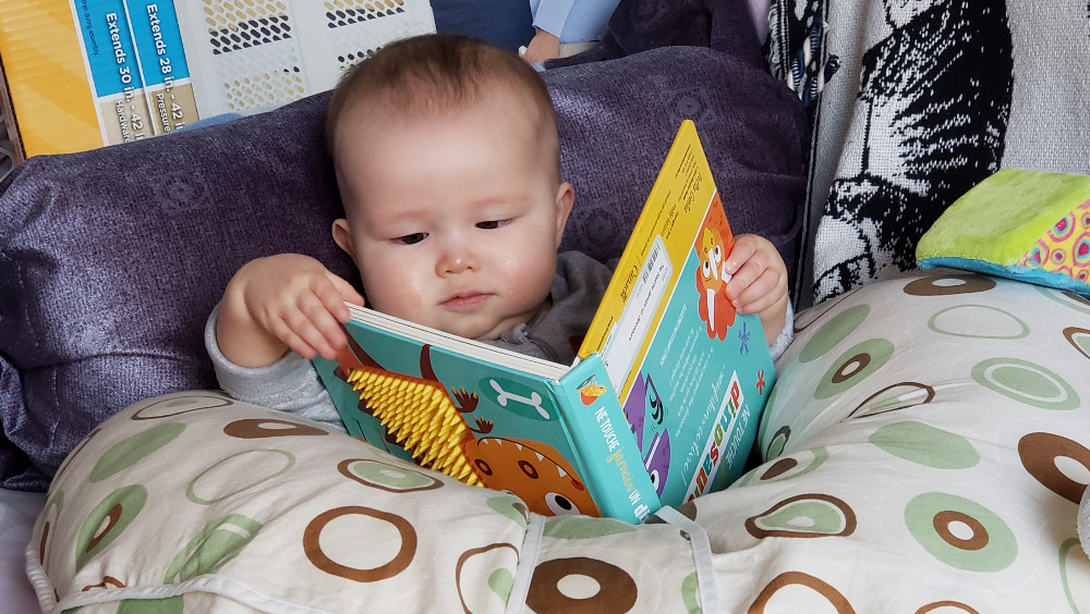 Photo of baby 'reading' a book.