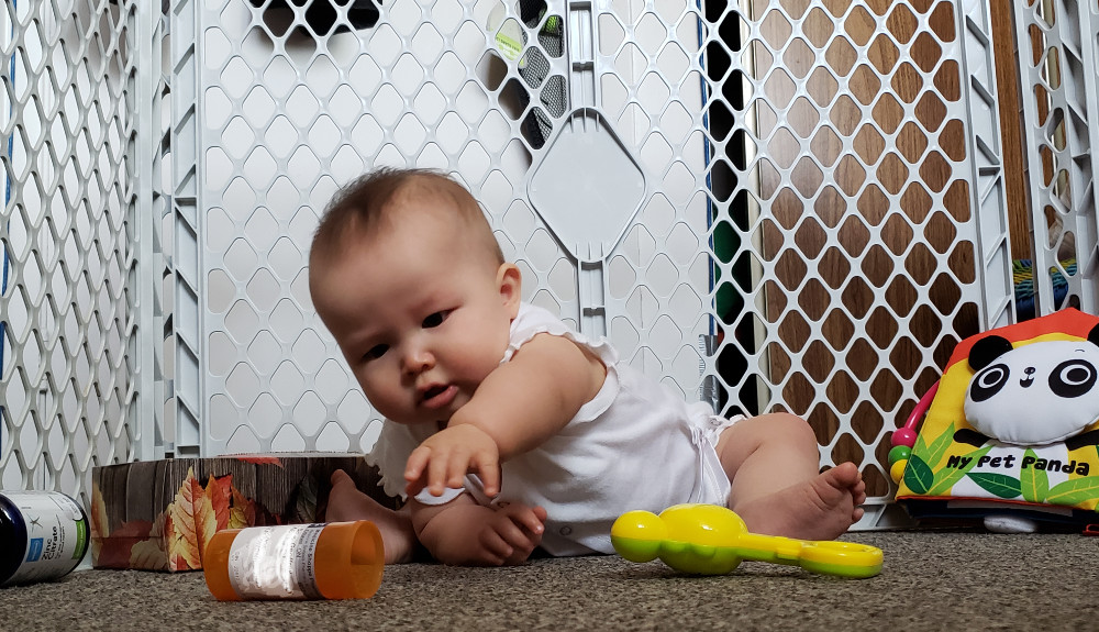 Photo of baby Baobao playing in her cage.