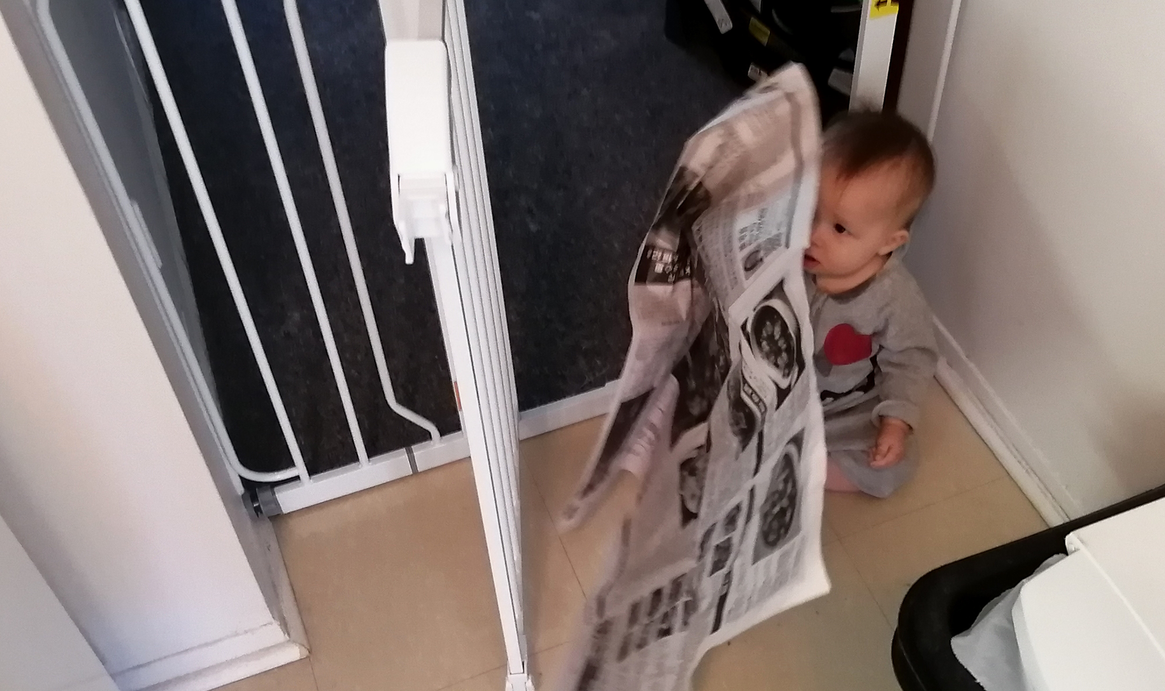 Photo of Baby Baobao with newpaper pilfered from the recycle bin.