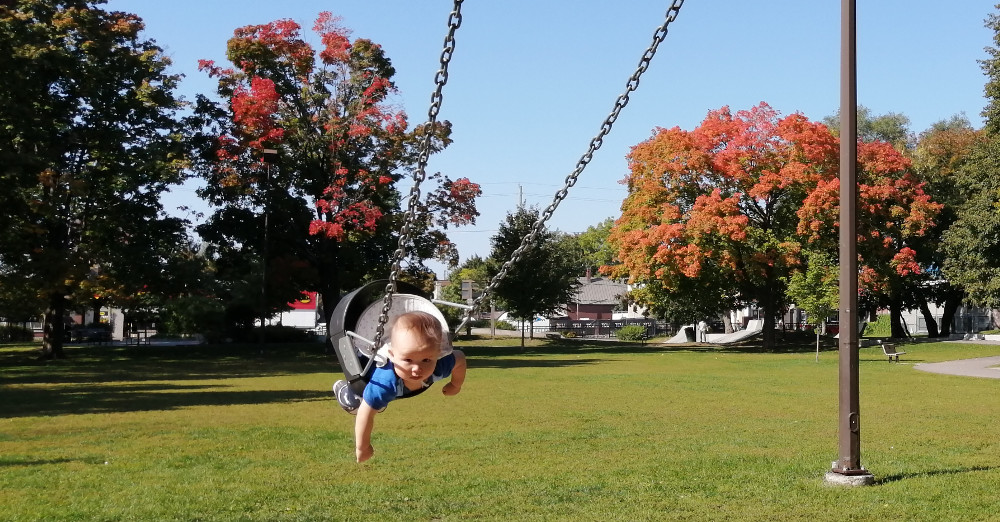 Photo of baby Baobao swinging against a backdrop of trees showing fall colours.