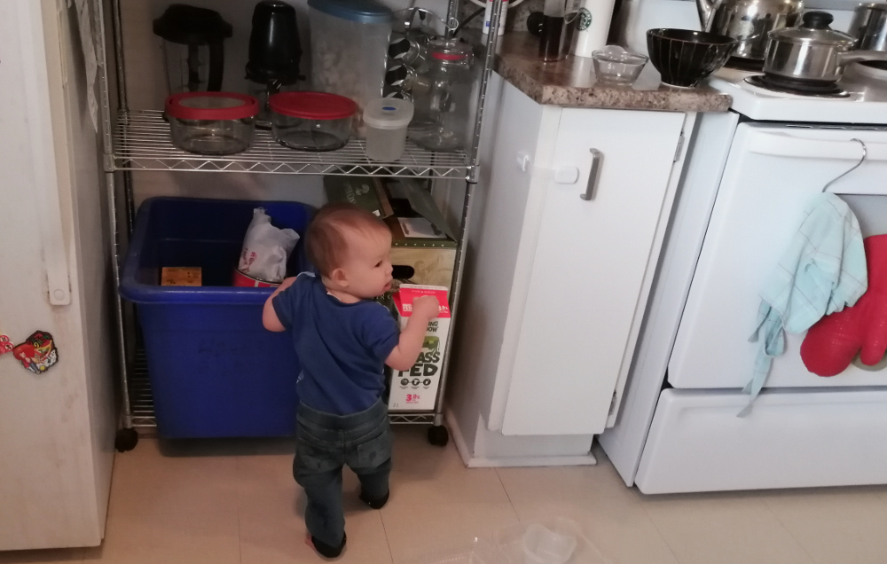 Photo of toddler Baobao holding a milk cartoon in front of blue box and beer cases on wire shelf, November 22, 2020. Photo by Mama Raven.