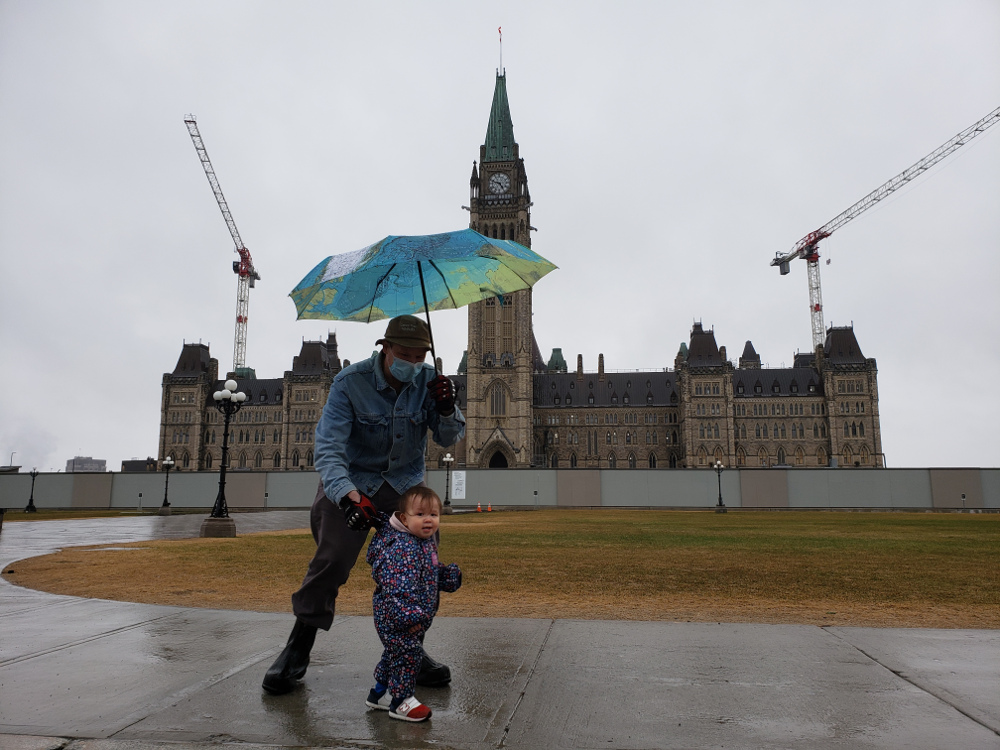 Who cares about the buildings, Papa, I want to watch the buses on Wellington!