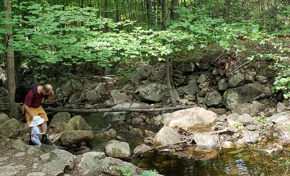 Walking near a water wonderland.