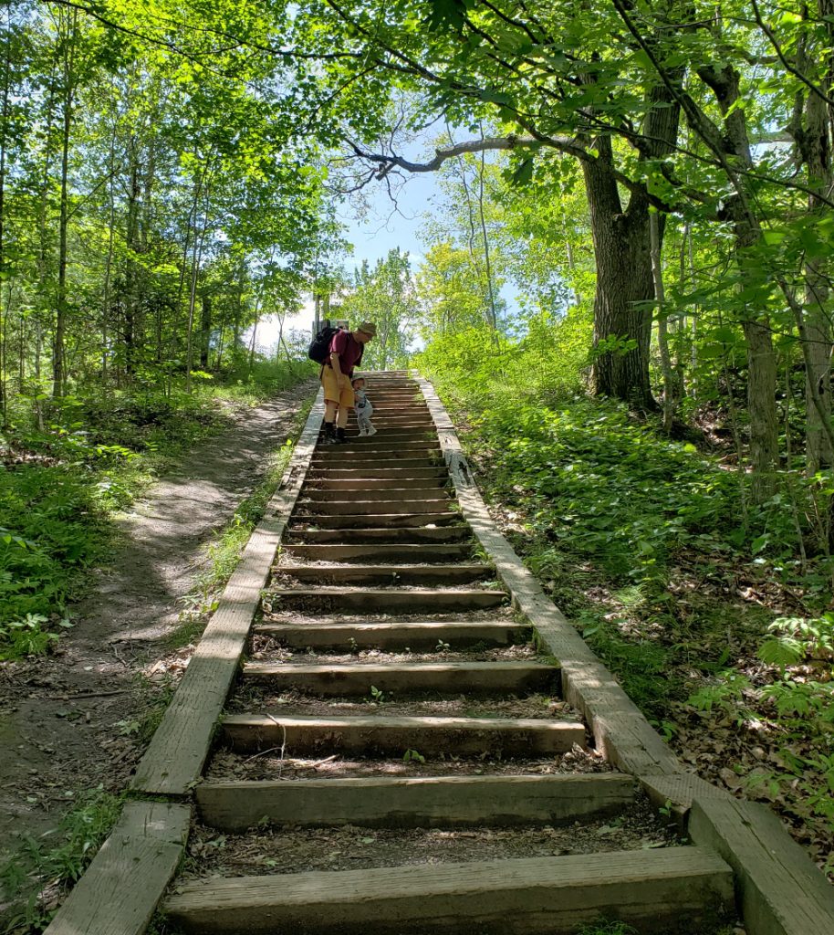 That really is a loooong flight of stairs for a little girl.