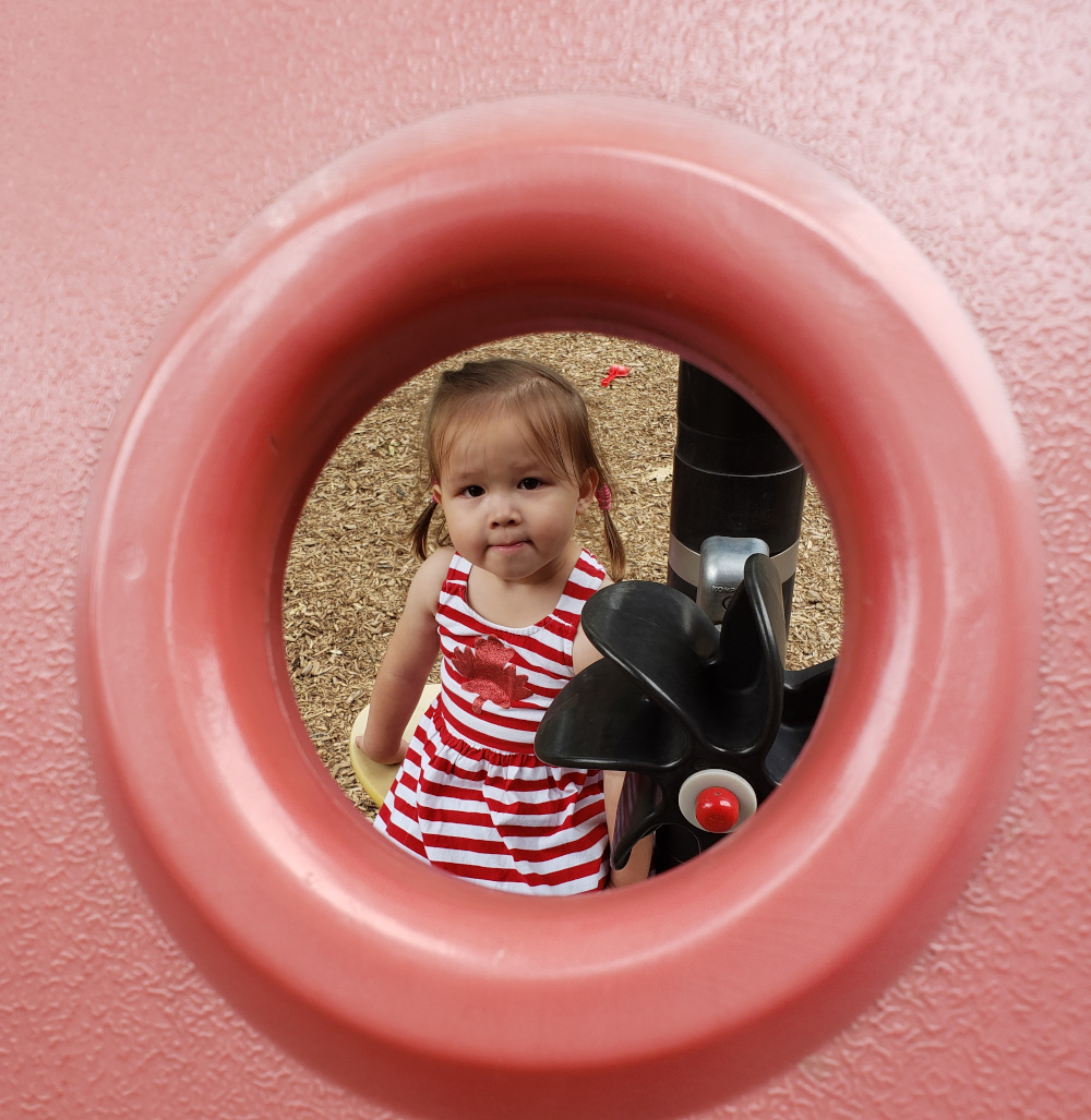 Baoboa returns a camera's gaze though a hole in a piece of playground equipment.