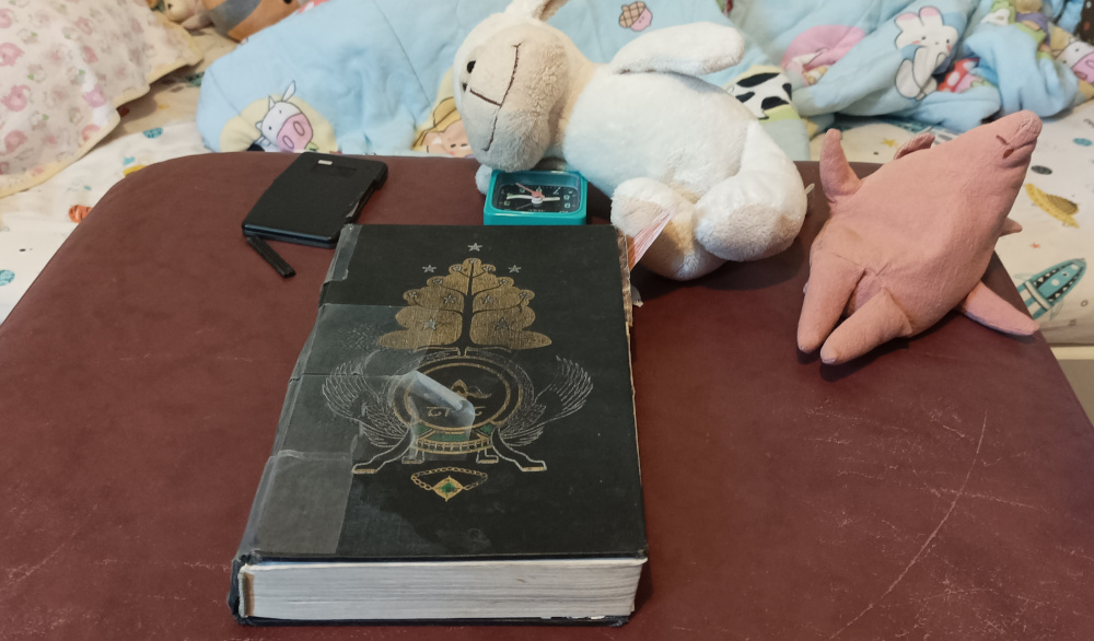 Photo shows copy of The Lord of the Rings with stuffed toys around it.